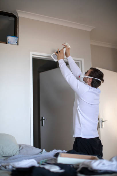Best Mold Remediation for Vacation Homes  in Peekskill, NY