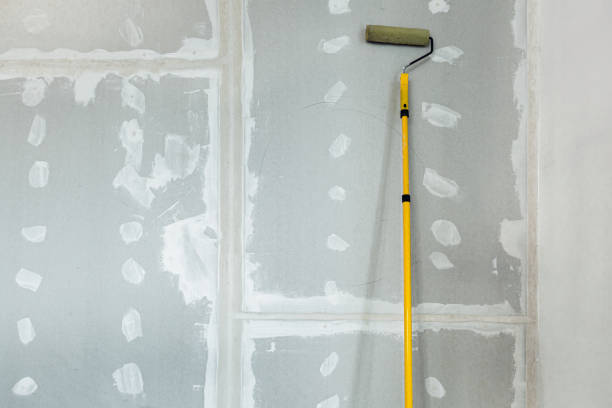 Best Mold Damage Restoration  in Peekskill, NY