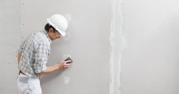 Best Mold Remediation for Rental Properties  in Peekskill, NY