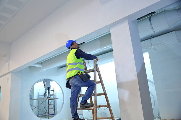 Best Basement Mold Removal  in Peekskill, NY
